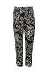 Verge Acrobat Paw Desiree Pant