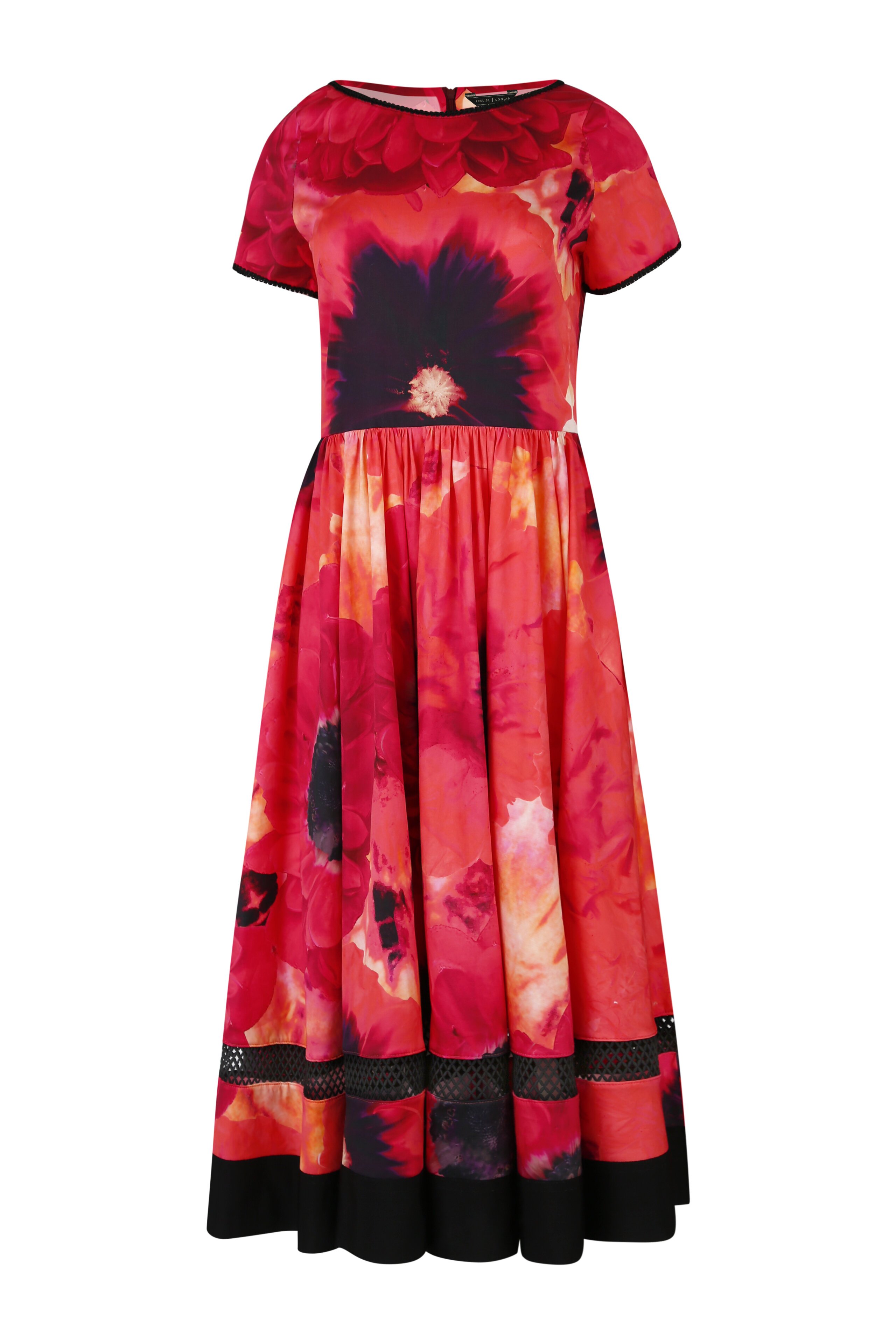 Trelise Cooper THE DRESS IS MINE DRESS BrandTrelise Cooper Diahann