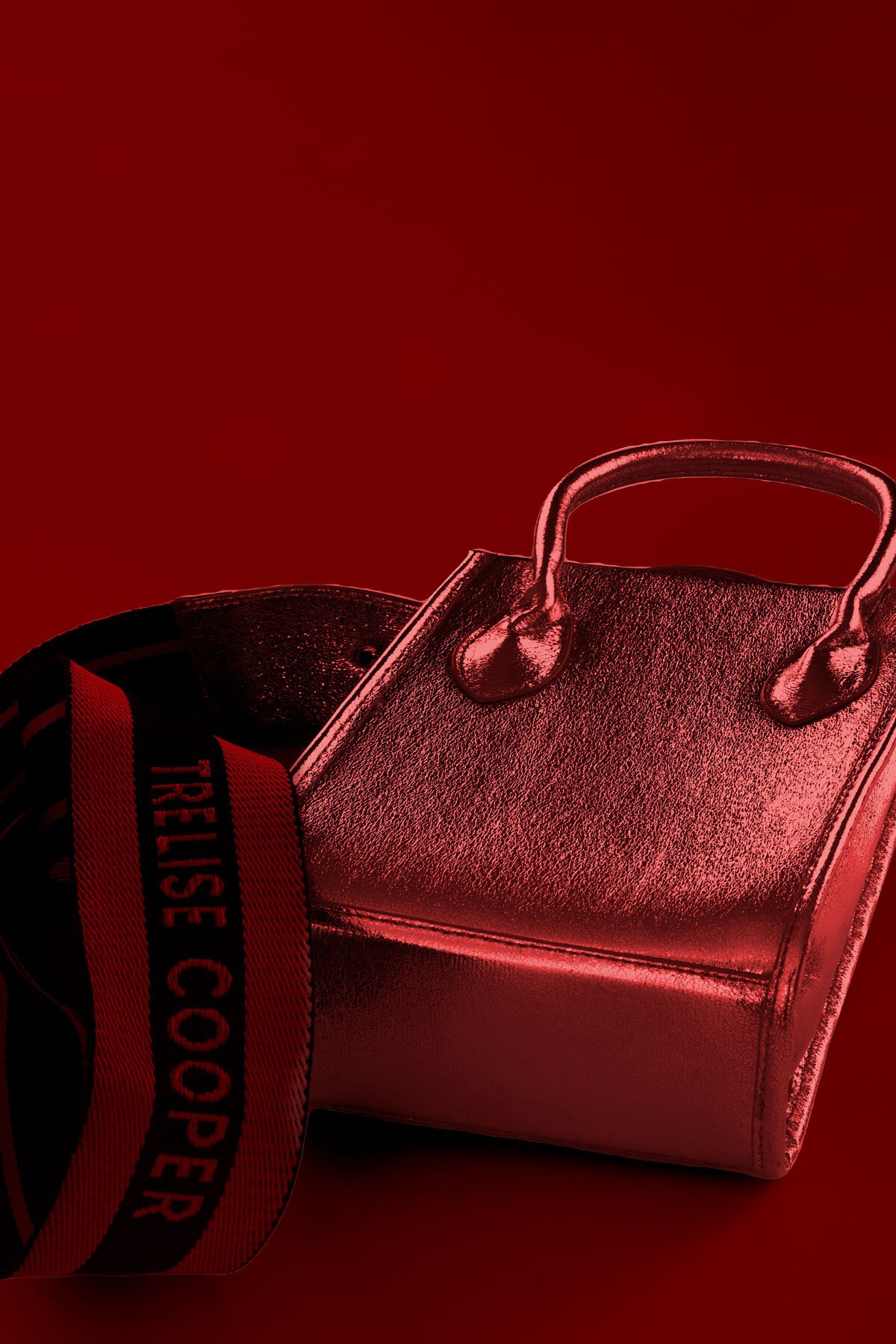 Trelise Cooper CRUSHING ON YOU Mini Tote AccessoriesHandbags