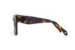 Age Eyewear SAVAGE Brown Tort