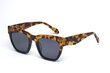 Age Eyewear SAVAGE Tort To Black