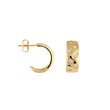 Bianc NYX Earring