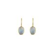 Bianc GLAZE Earrings