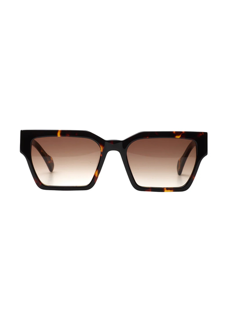 Age Eyewear CARNAGE Brown Tort w Tort