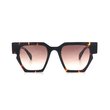 Age Eyewear HOMAGE Brown Tort